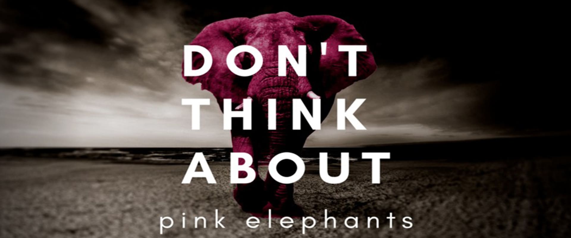 تئوری Don`t think of a pink elephant | تاک شد